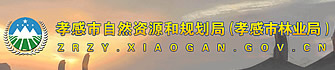 ТȻԴ͹滮֣Тҵ֣